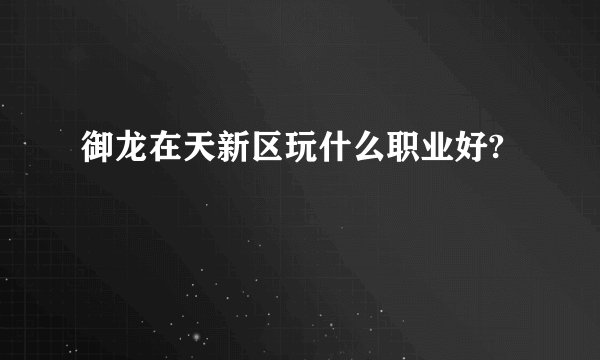 御龙在天新区玩什么职业好?