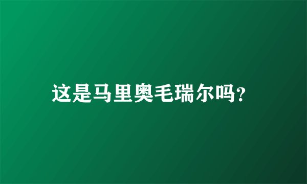 这是马里奥毛瑞尔吗？