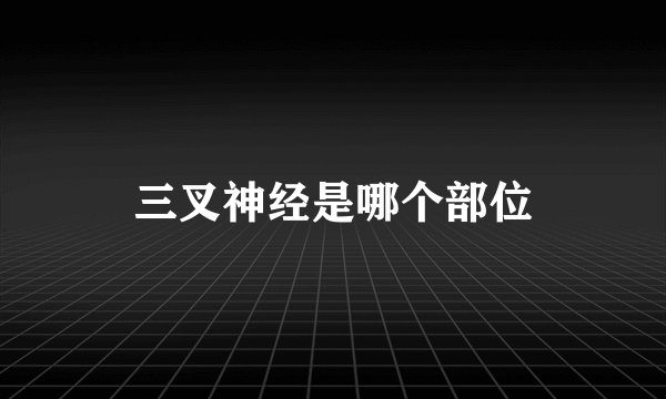 三叉神经是哪个部位