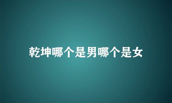 乾坤哪个是男哪个是女