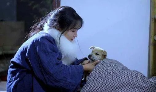 李子柒的作品被抄袭，她是怎么维权的？