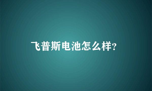 飞普斯电池怎么样？