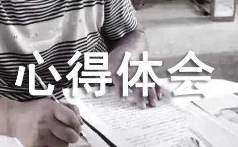 拓展训练心得体会