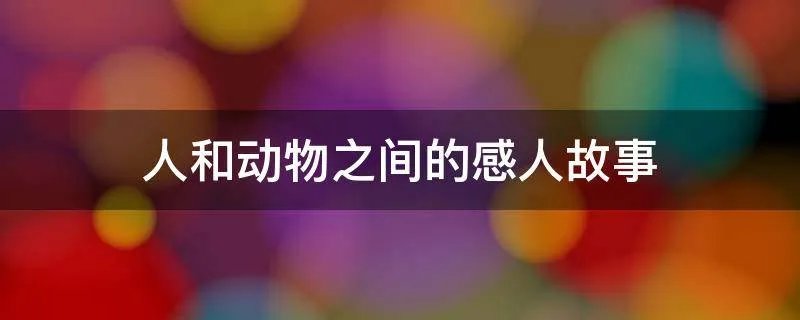 人和动物之间的感人故事