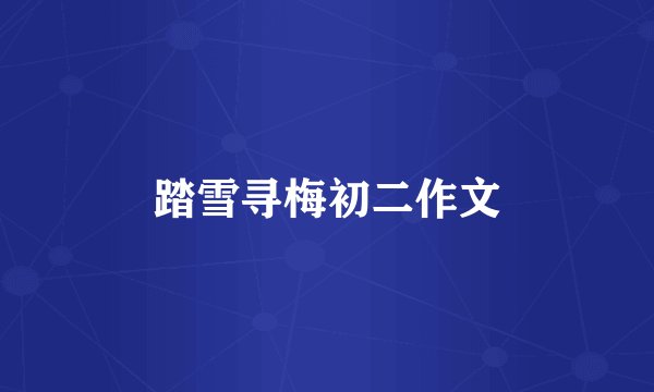 踏雪寻梅初二作文