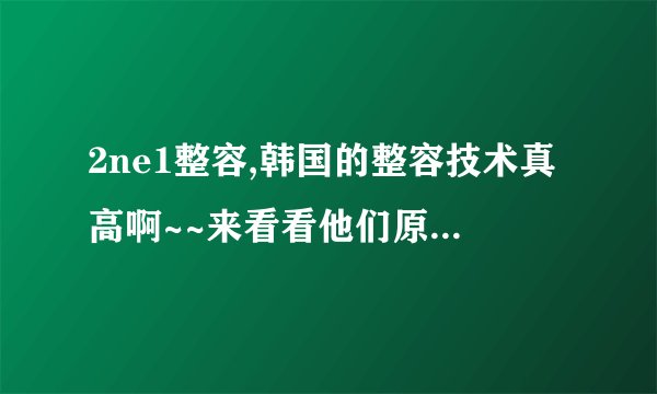 2ne1整容,韩国的整容技术真高啊~~来看看他们原来的样子吧！
