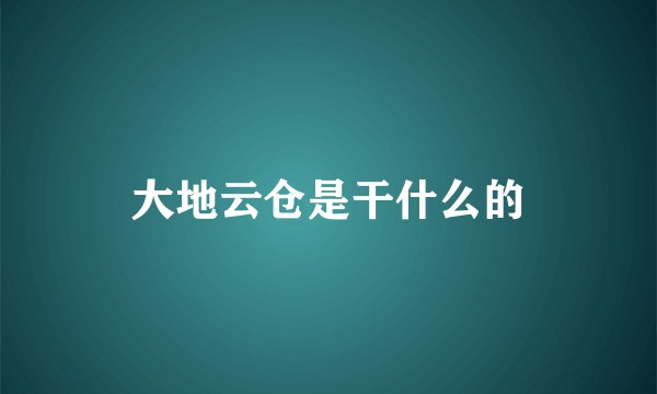 大地云仓是干什么的