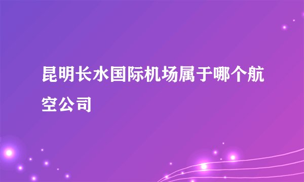 昆明长水国际机场属于哪个航空公司