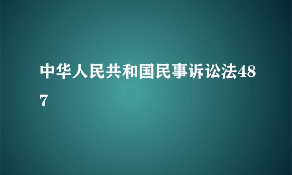 中华人民共和国民事诉讼法487