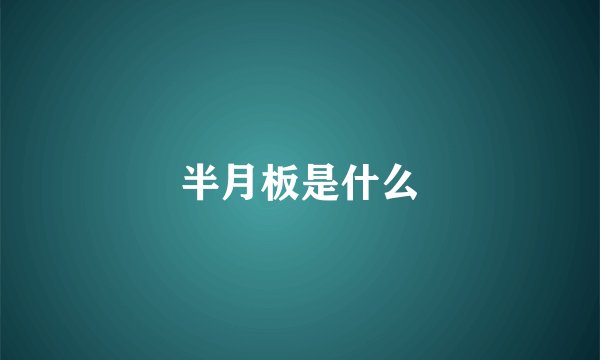 半月板是什么