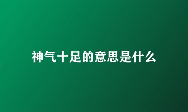 神气十足的意思是什么