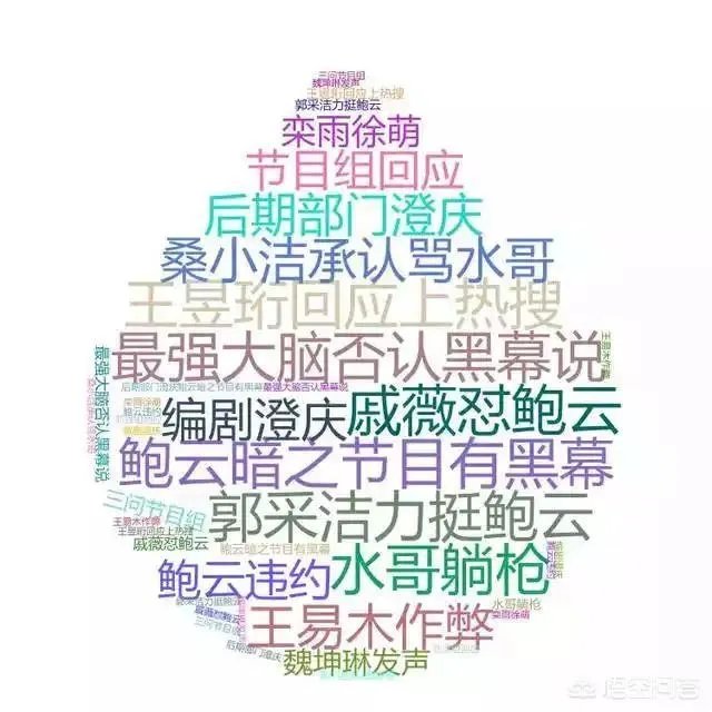 《最强大脑》制片人桑洁是一个什么样的人?