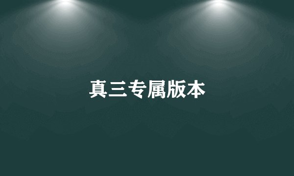 真三专属版本