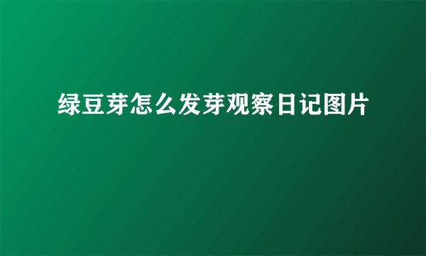 绿豆芽怎么发芽观察日记图片