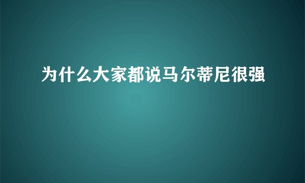 为什么大家都说马尔蒂尼很强