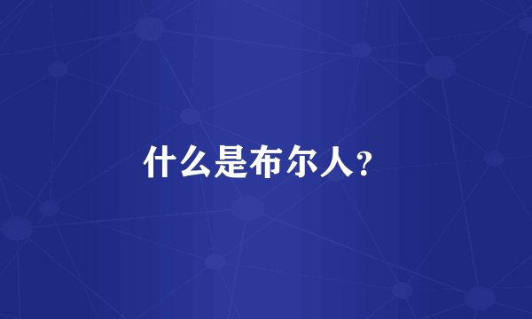 什么是布尔人？