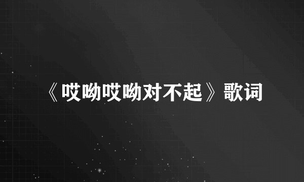 《哎呦哎呦对不起》歌词
