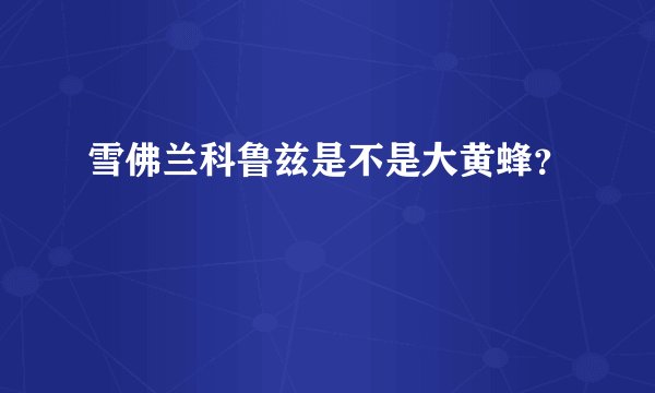 雪佛兰科鲁兹是不是大黄蜂？