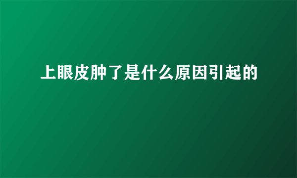 上眼皮肿了是什么原因引起的