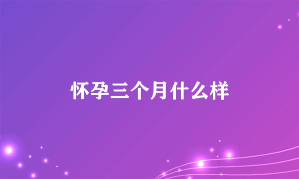 怀孕三个月什么样