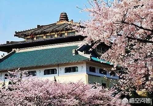 武汉大学和华中科技大学哪个最强?