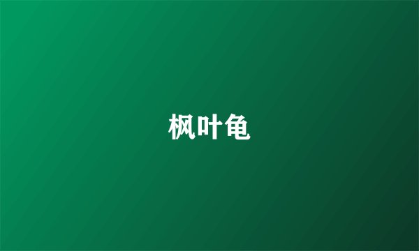 枫叶龟