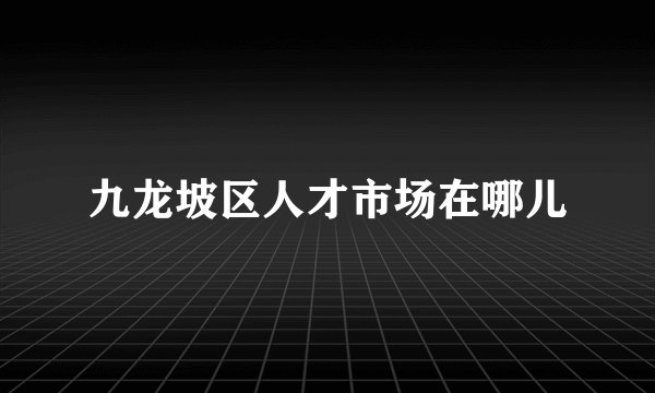 九龙坡区人才市场在哪儿