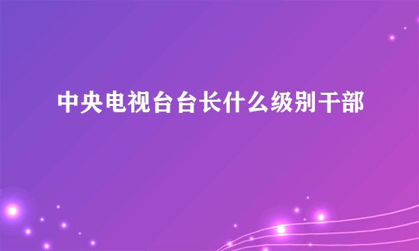 中央电视台台长什么级别干部