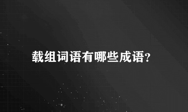 载组词语有哪些成语？