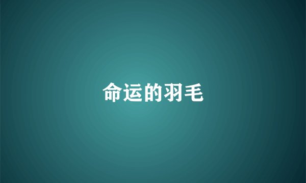 命运的羽毛