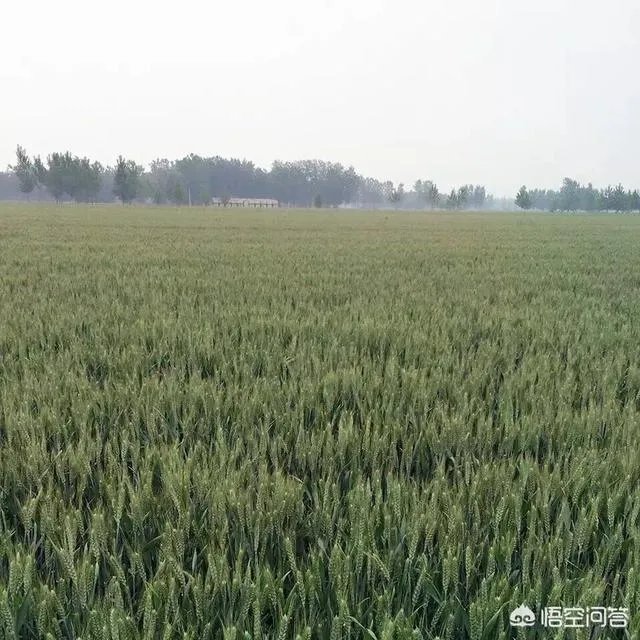 韩寒发长文说自己退学是很失败的事,你曾经有没有特别不想上学的时刻?