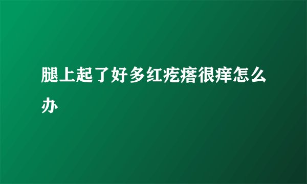 腿上起了好多红疙瘩很痒怎么办