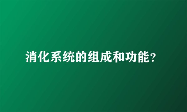 消化系统的组成和功能?