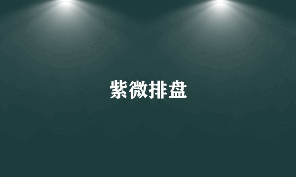 紫微排盘