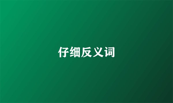 仔细反义词