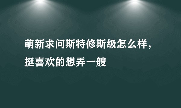萌新求问斯特修斯级怎么样，挺喜欢的想弄一艘