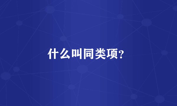 什么叫同类项?