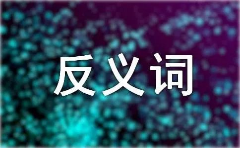 悠闲的反义词