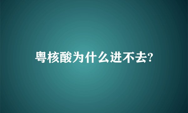 粤核酸为什么进不去?