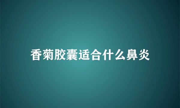 香菊胶囊适合什么鼻炎
