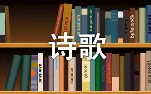 舒婷诗歌经典语录