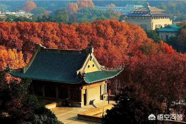 武汉大学和华中科技大学哪个最强?