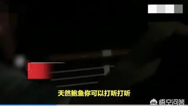 青岛再现天价海鲜,一只鲍鱼500元,好客山东怎么了?