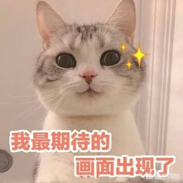 如何看待雷佳音、李光洁、郭京飞组成的tf老boys组合？