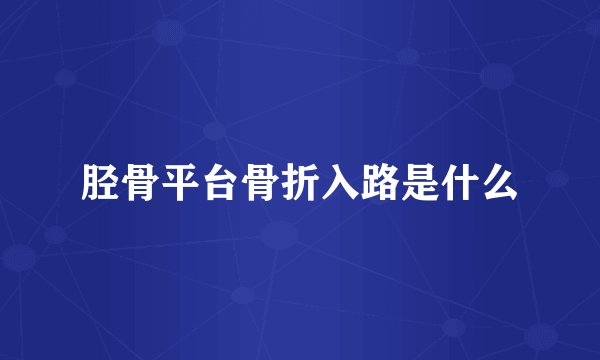 胫骨平台骨折入路是什么