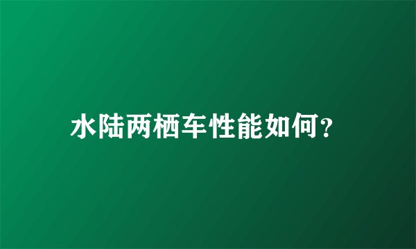 水陆两栖车性能如何？