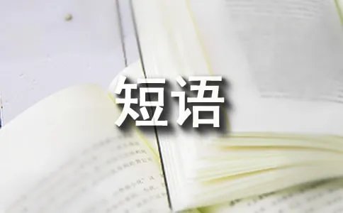 短语的功能类型