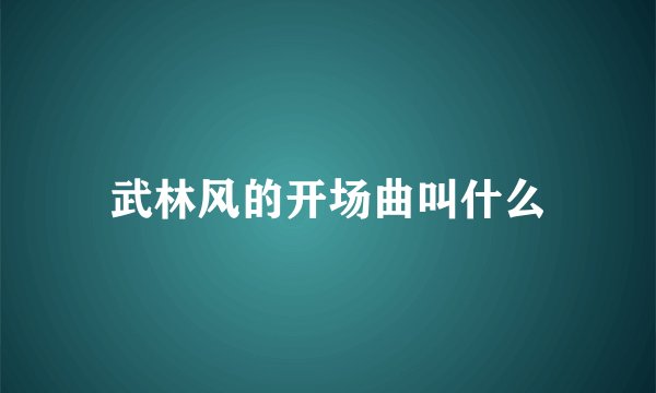 武林风的开场曲叫什么