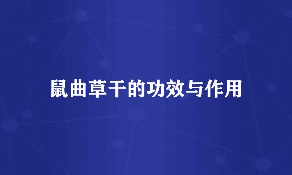 鼠曲草干的功效与作用