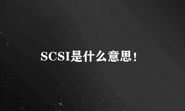 SCSI是什么意思！